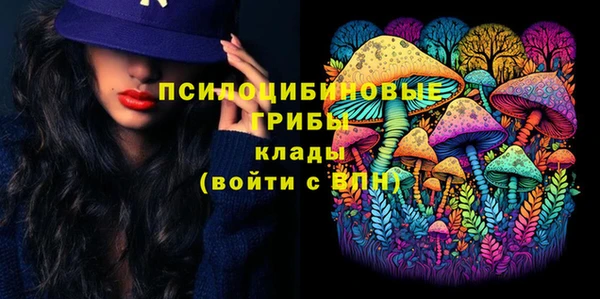ALPHA-PVP Осинники