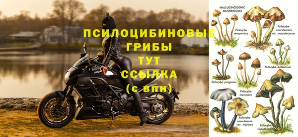 2c-b Пересвет