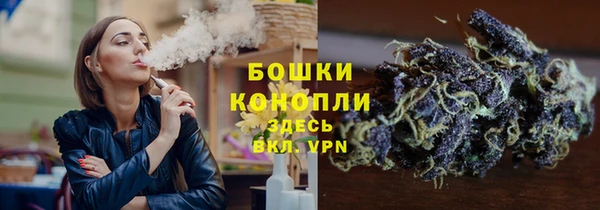 2c-b Пересвет